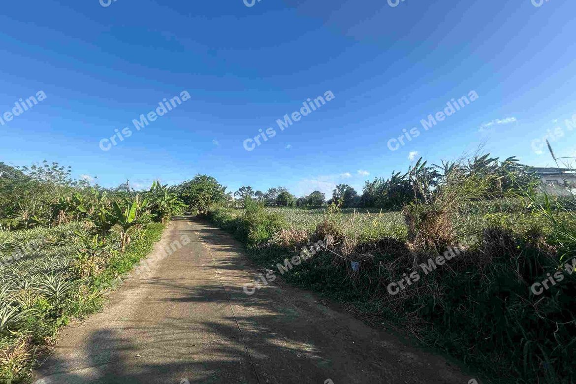 Land for Sale in Esperanza Ilaya, Alfonso, Cavite – photo 3