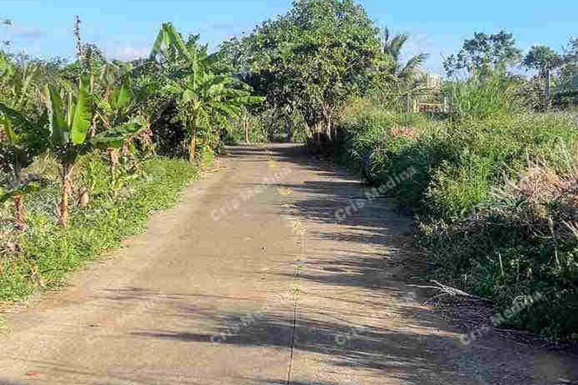 Land for Sale in Esperanza Ilaya, Alfonso, Cavite – photo 4