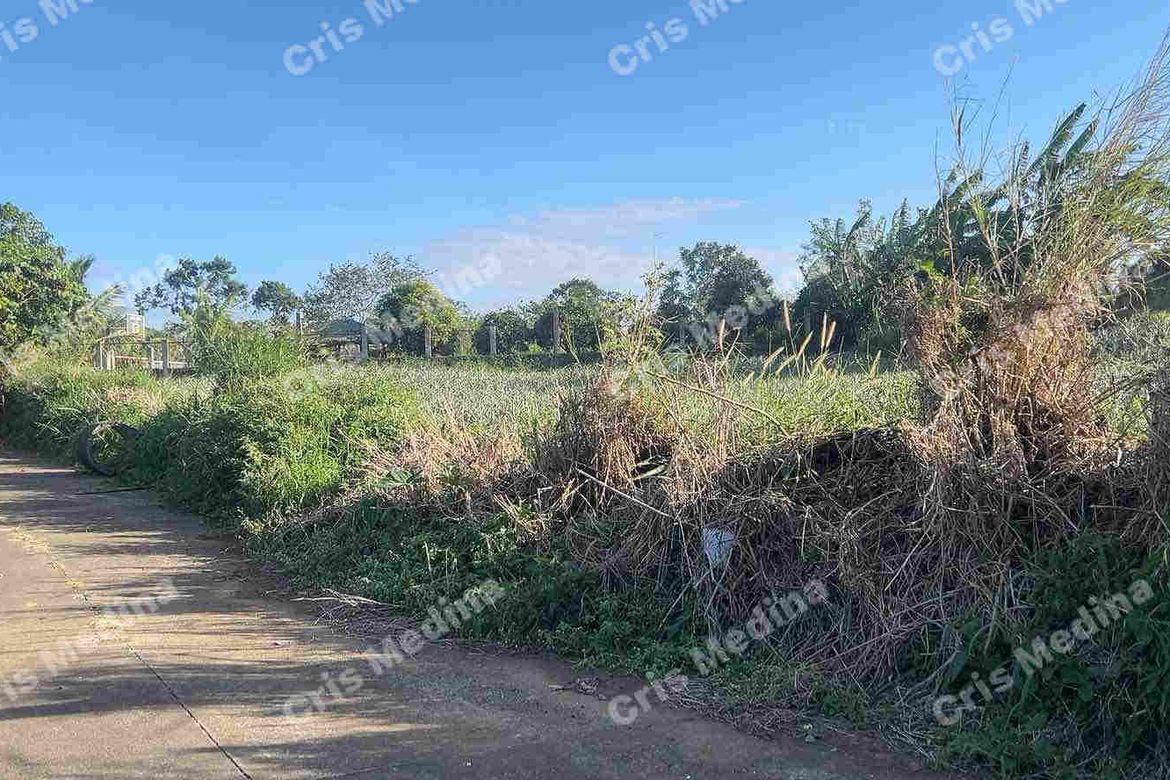 Land for Sale in Esperanza Ilaya, Alfonso, Cavite – photo 5