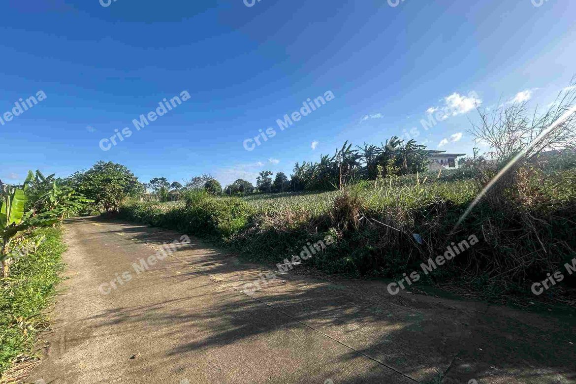 Land for Sale in Esperanza Ilaya, Alfonso, Cavite – photo 6