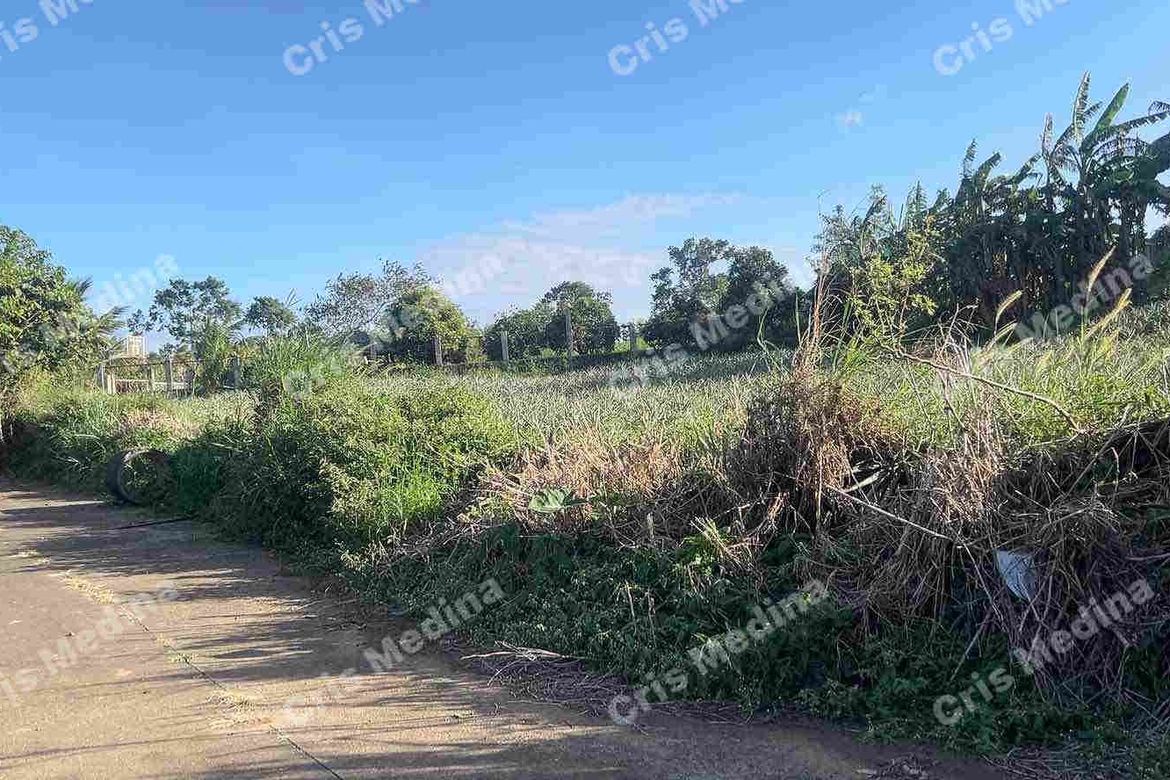 Land for Sale in Esperanza Ilaya, Alfonso, Cavite – photo 7