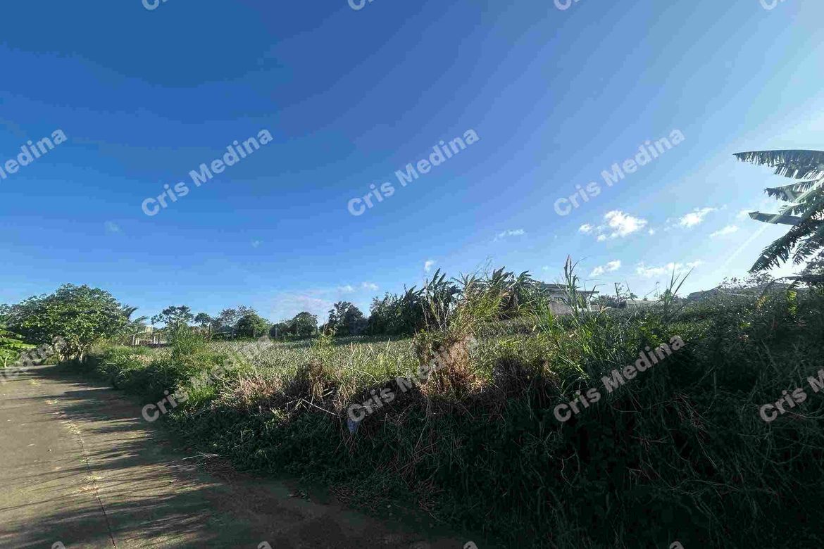 Land for Sale in Esperanza Ilaya, Alfonso, Cavite – photo 8