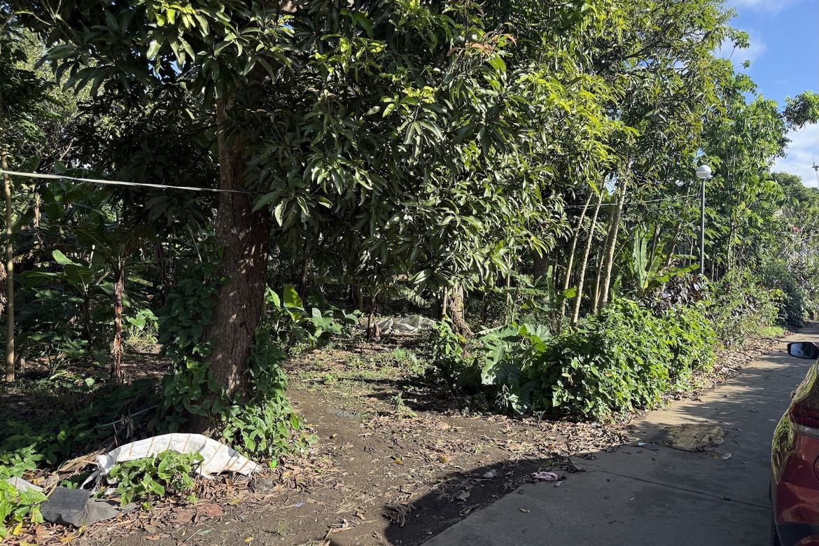 Land for Sale in Esperanza Ilaya, Alfonso, Cavite – photo 3