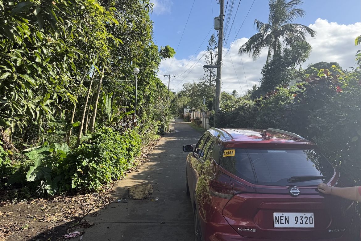 Land for Sale in Esperanza Ilaya, Alfonso, Cavite – photo 4