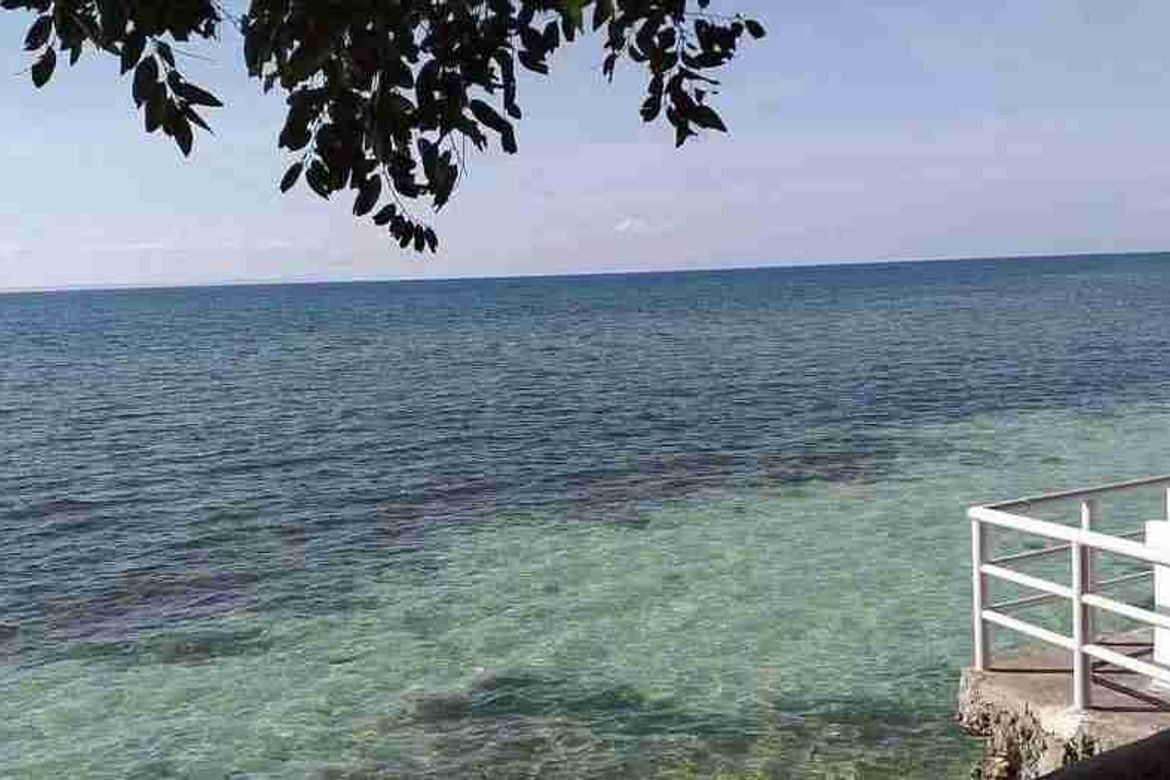 Land for Sale in Esperanza, Poro, Cebu – photo 4