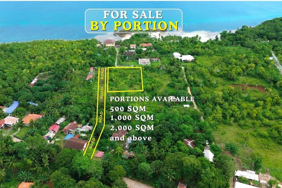 Land for Sale in Esperanza, San Francisco, Cebu – photo 7