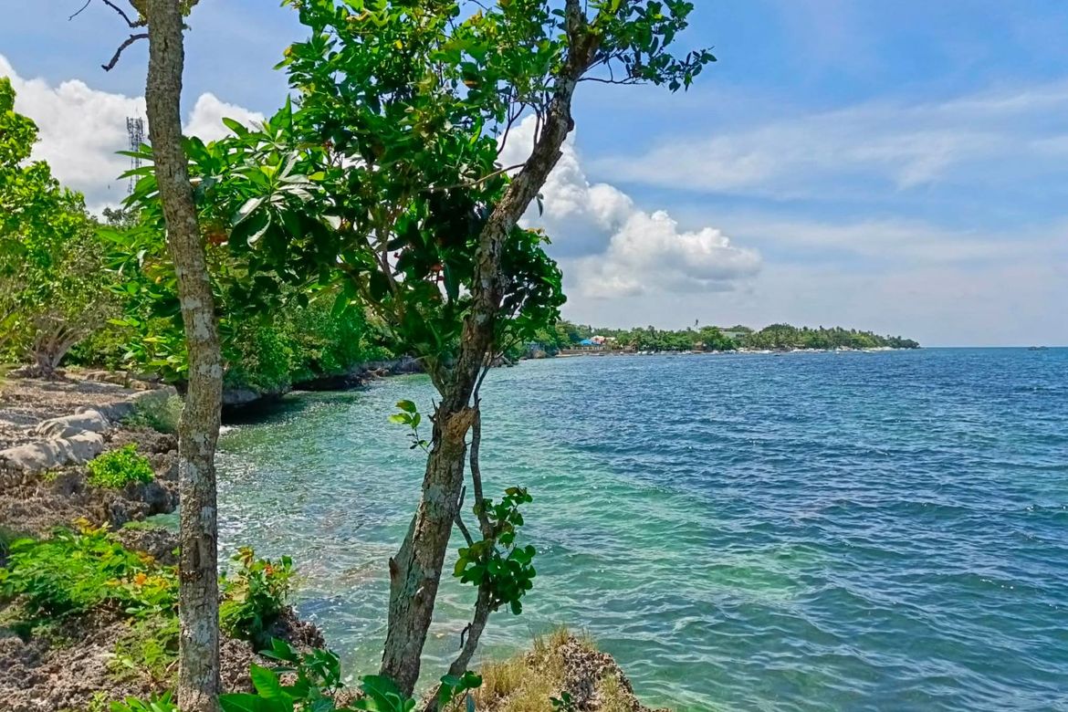 Land for Sale in Esperanza, San Francisco, Cebu – photo 3