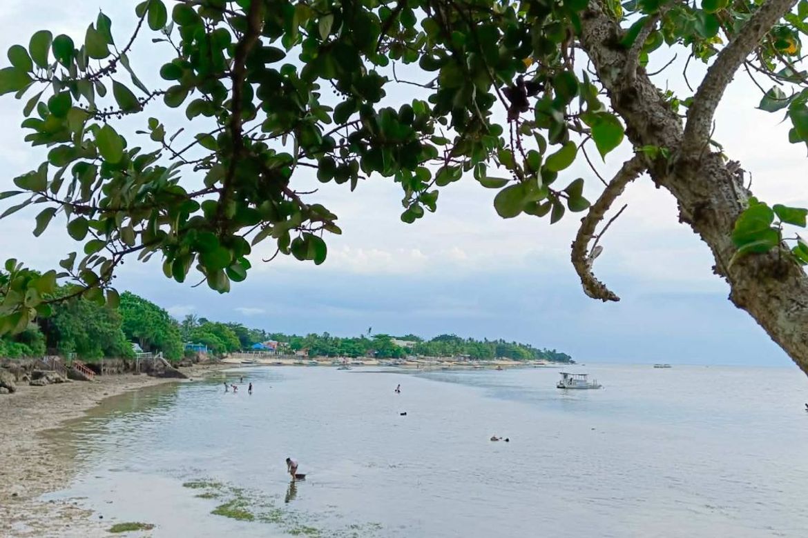 Land for Sale in Esperanza, San Francisco, Cebu – photo 4