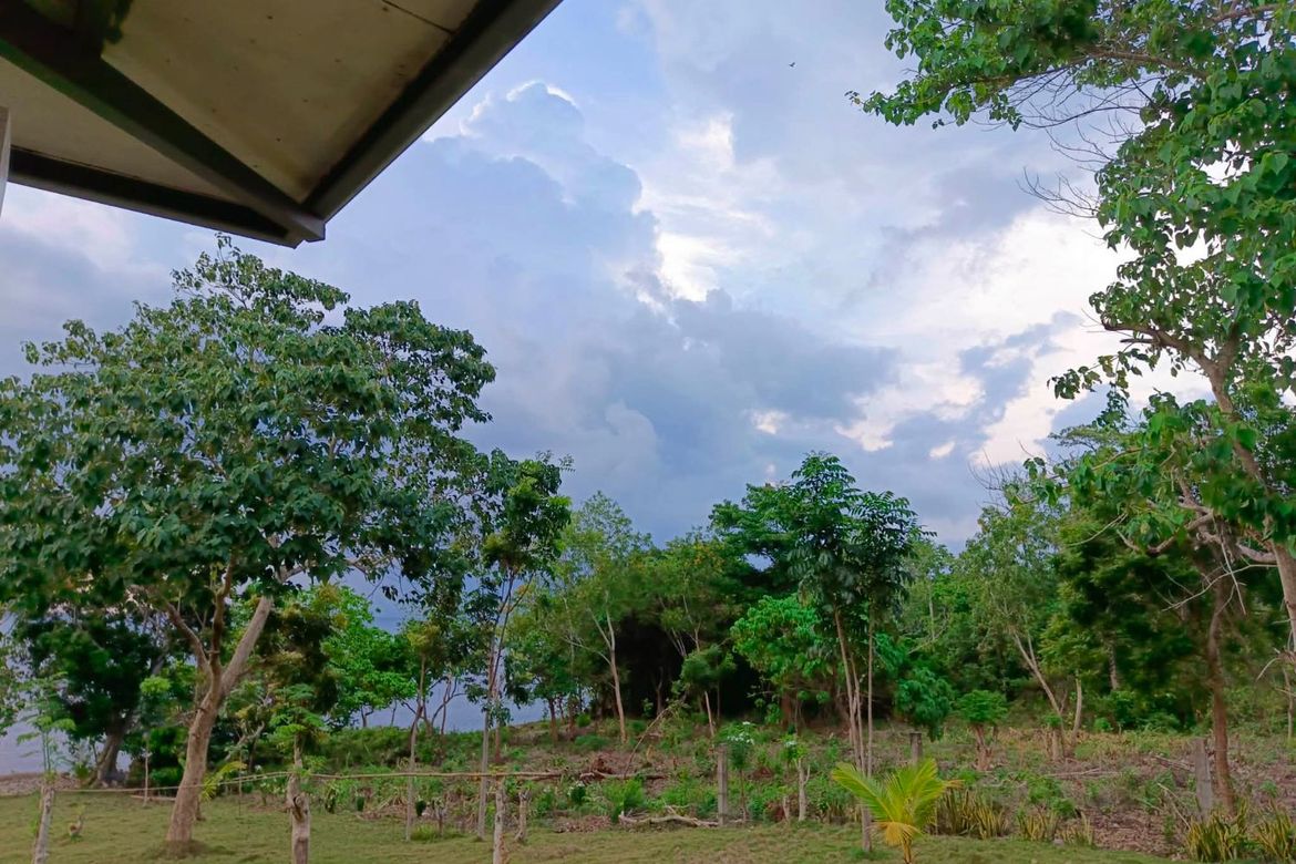 Land for Sale in Esperanza, San Francisco, Cebu – photo 5