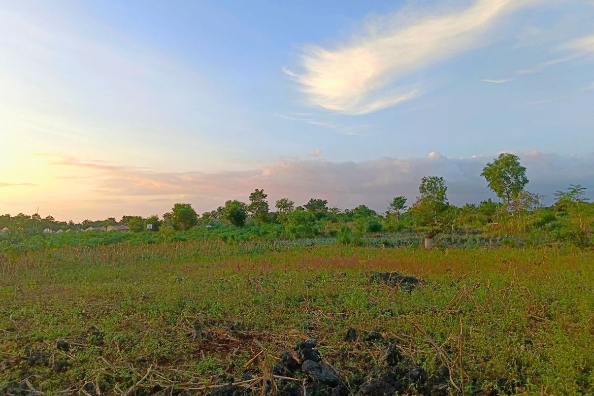 Land for Sale in Esperanza, San Francisco, Cebu – photo 3