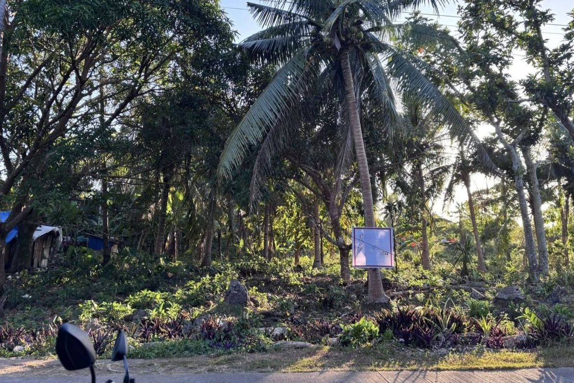 Land for Sale in Esperanza, San Francisco, Cebu – photo 2