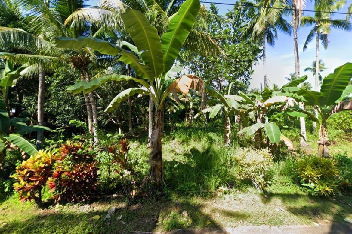 Land for Sale in Esperanza, San Francisco, Cebu – photo 3