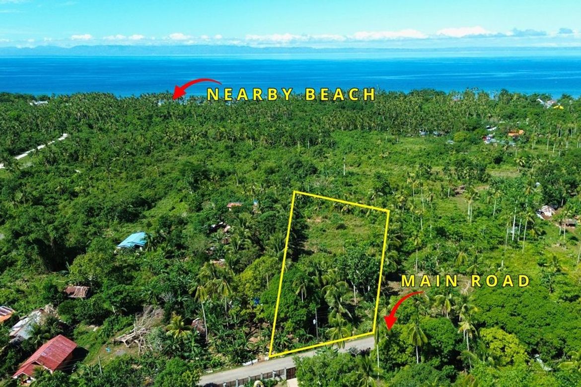 Land for Sale in Esperanza, San Francisco, Cebu – photo 6
