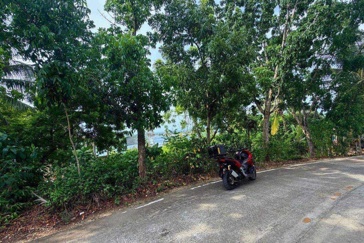 Land for Sale in Esperanza, San Francisco, Cebu – photo 4