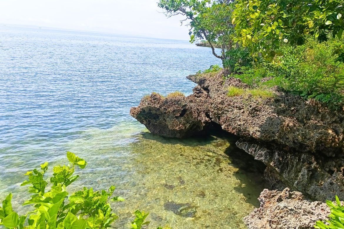 Land for Sale in Esperanza, San Francisco, Cebu – photo 4