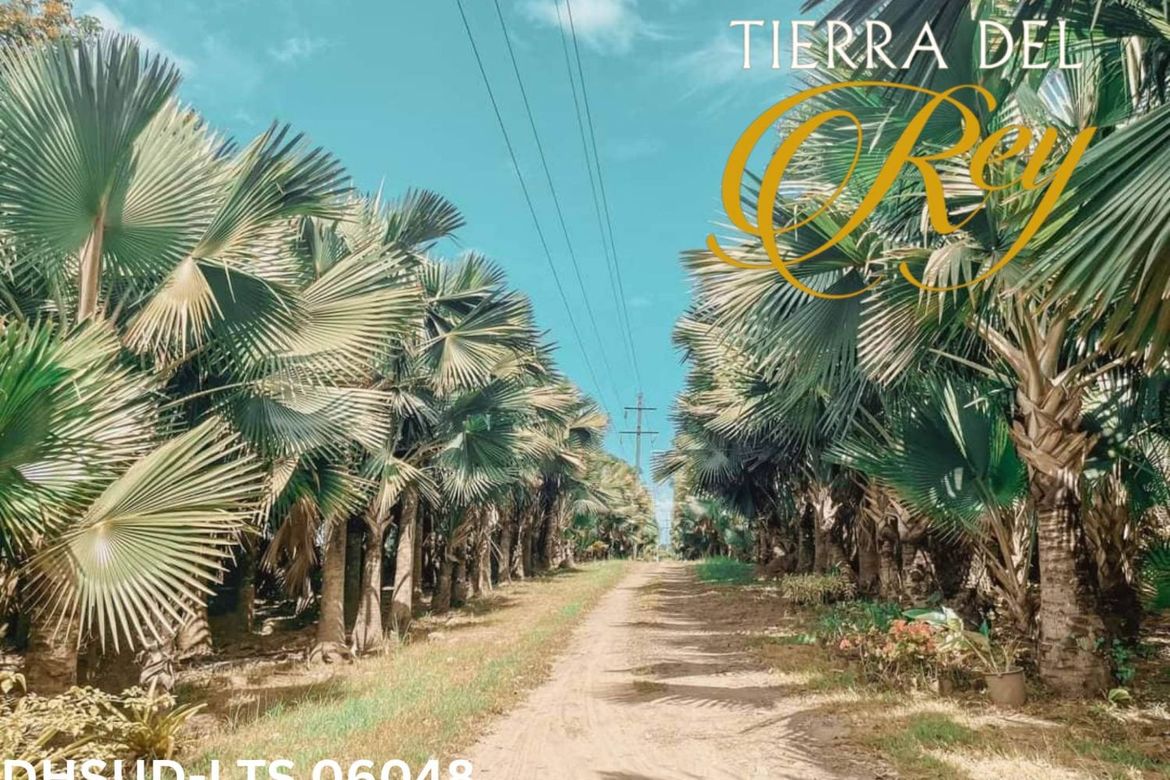 Land for Sale in Estefania, Bacolod, Negros Occidental – photo 8