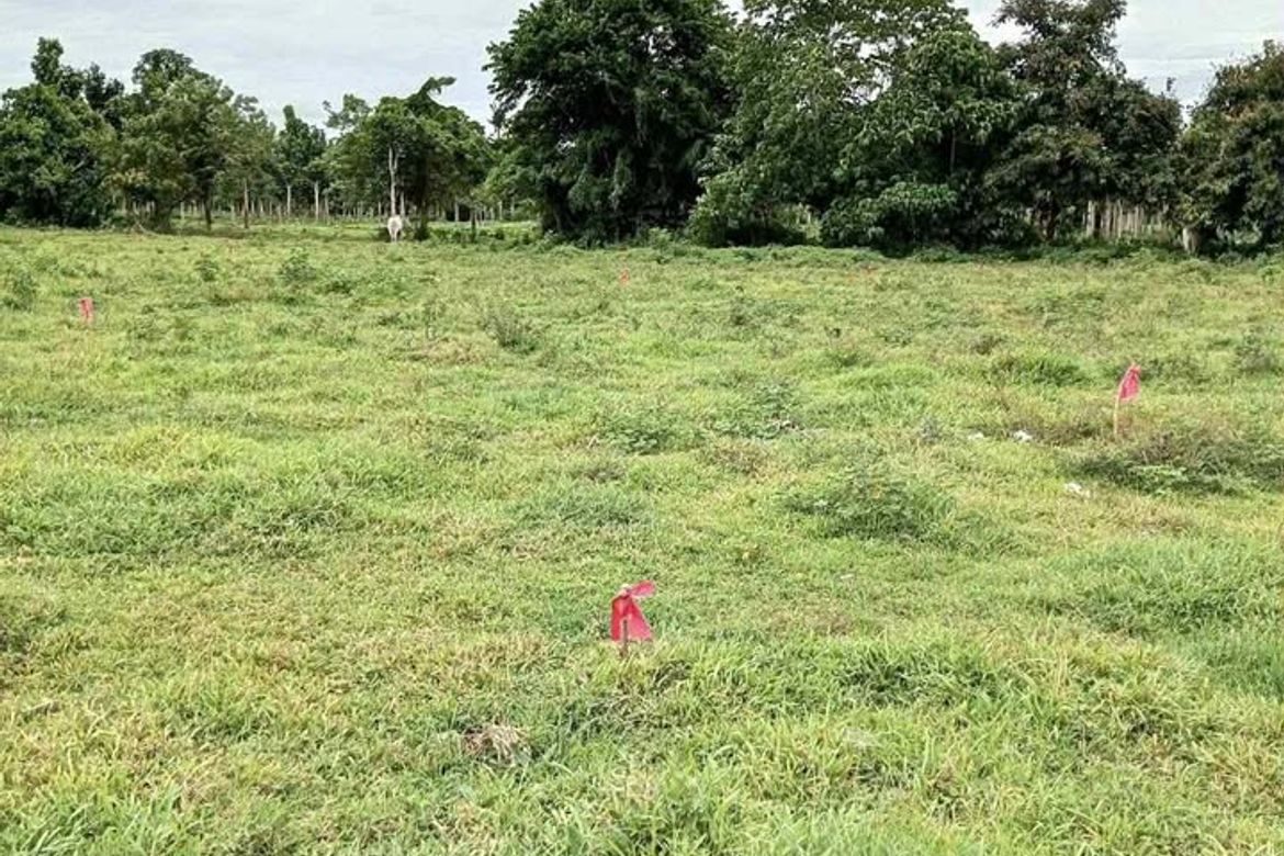 Land for Sale in Estefania, Bacolod, Negros Occidental – photo 2