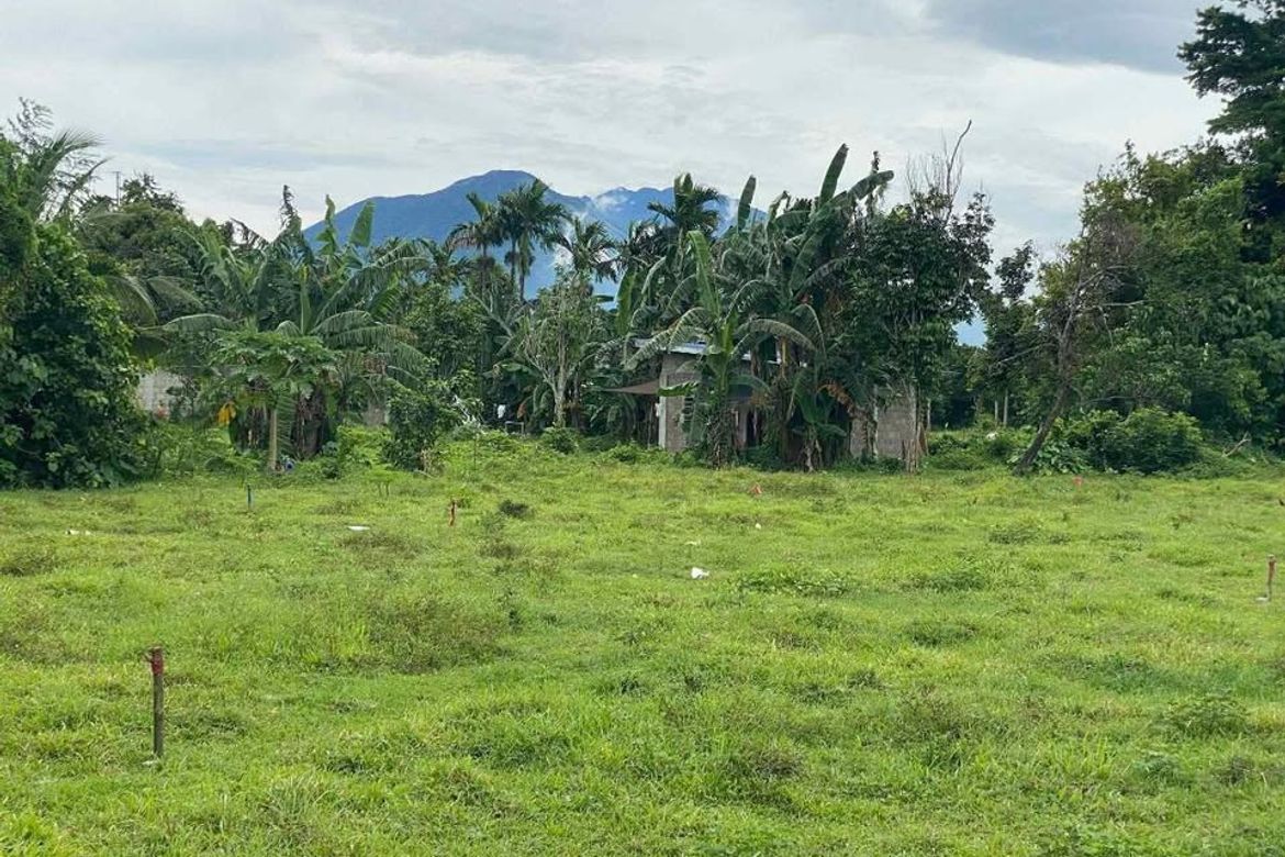 Land for Sale in Estefania, Bacolod, Negros Occidental – photo 3