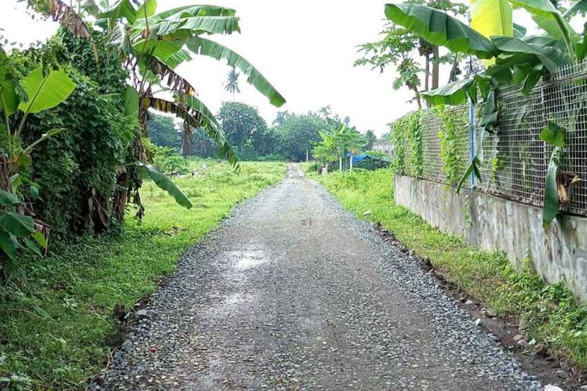 Land for Sale in Estefania, Bacolod, Negros Occidental – photo 4