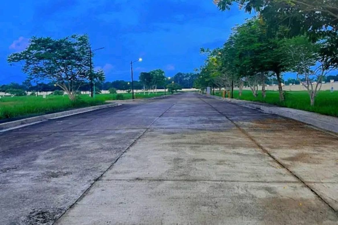 Land for Sale in Estefania, Bacolod, Negros Occidental – photo 3