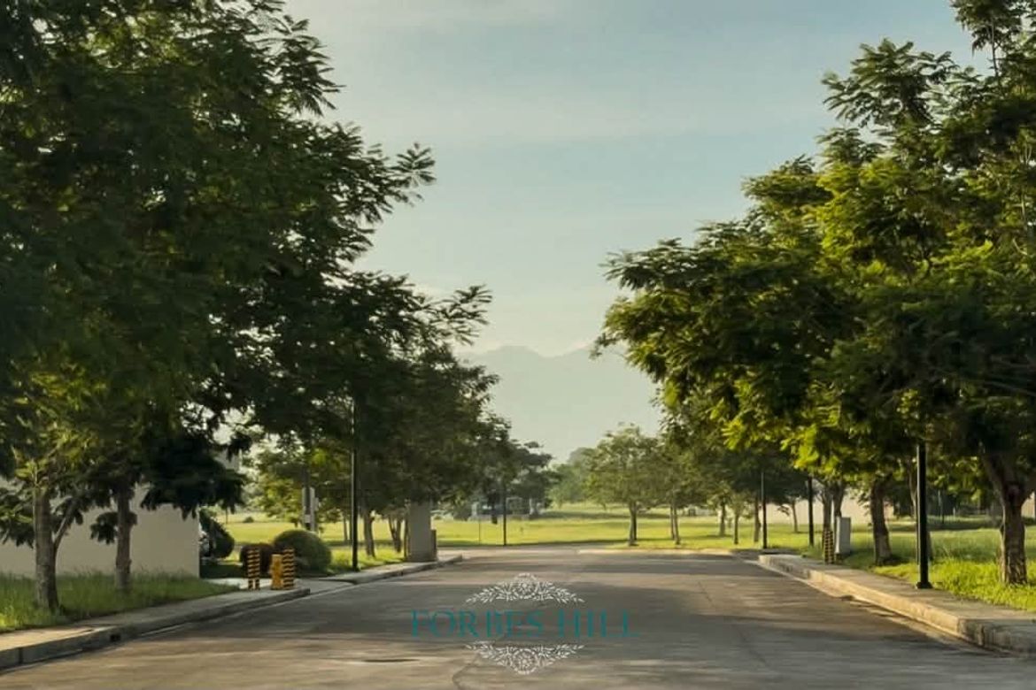 Land for Sale in Estefania, Bacolod, Negros Occidental – photo 5