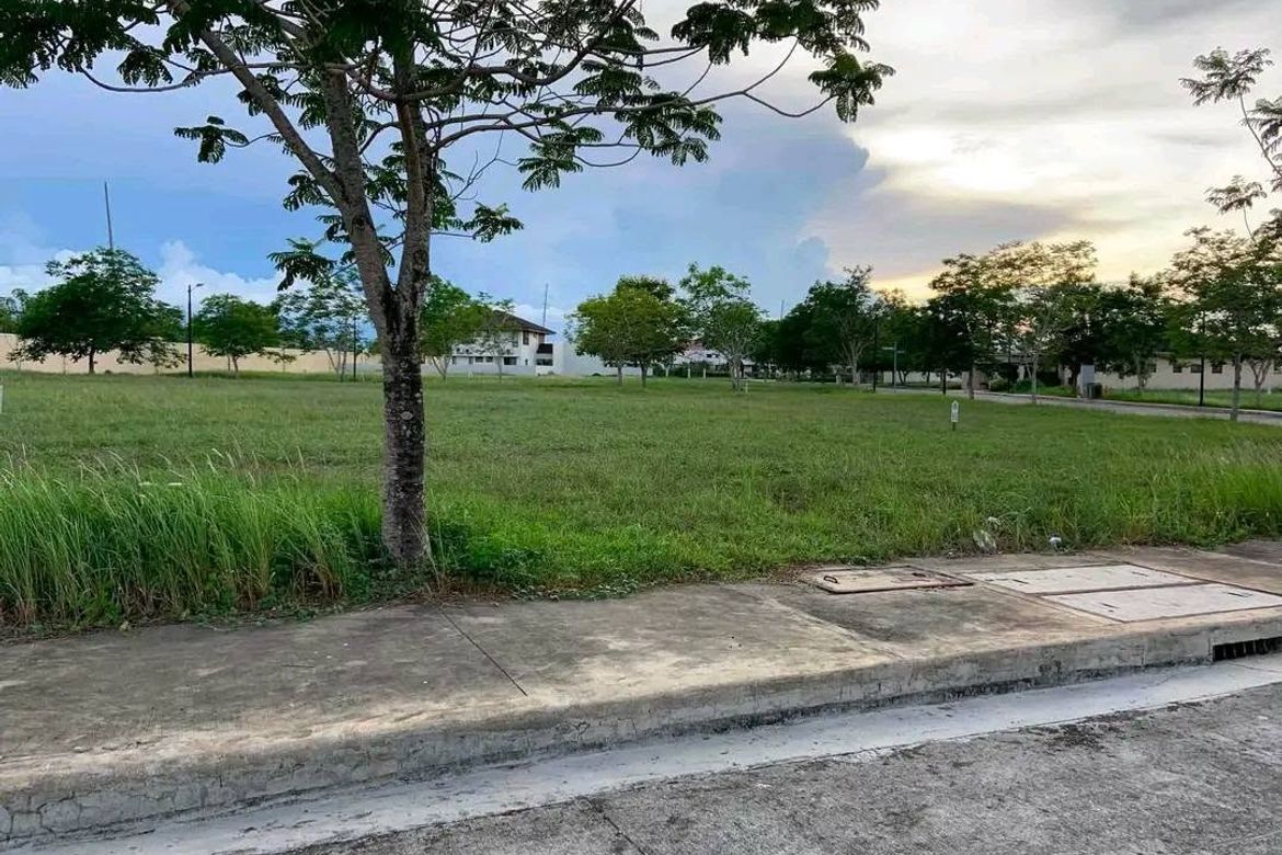 Land for Sale in Estefania, Bacolod, Negros Occidental – photo 7