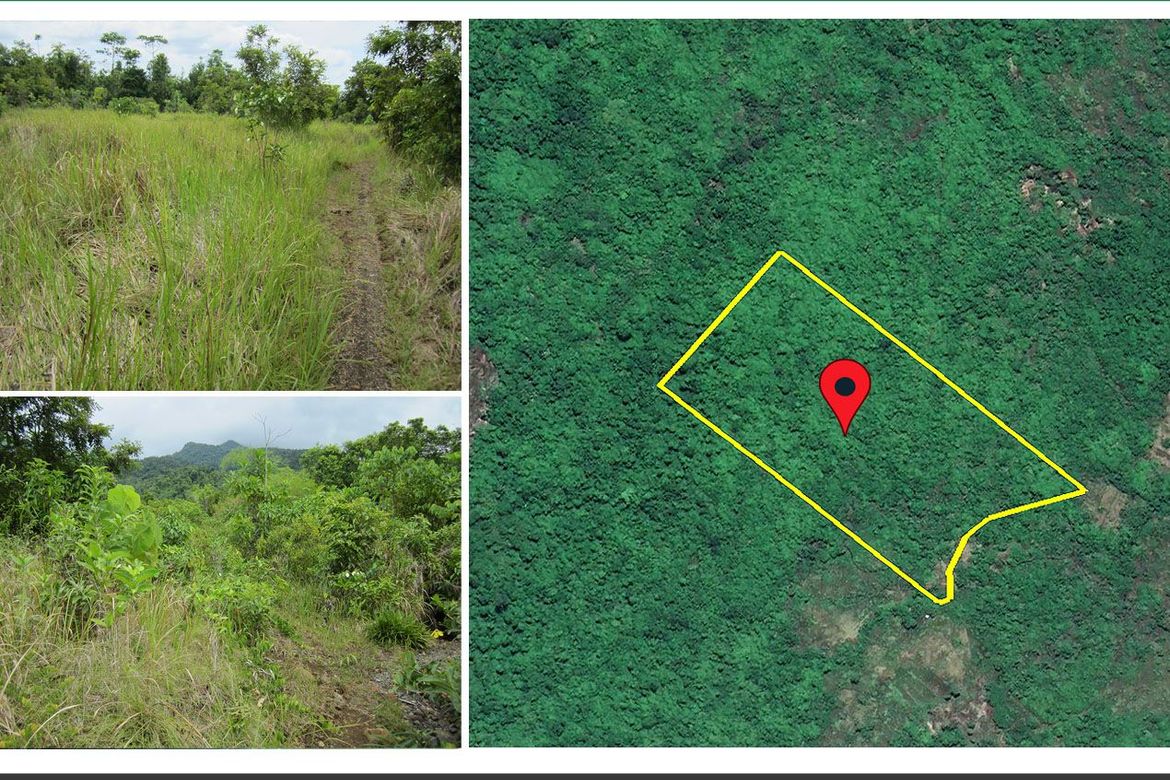 Land for Sale in Estrella Village, Narra, Palawan