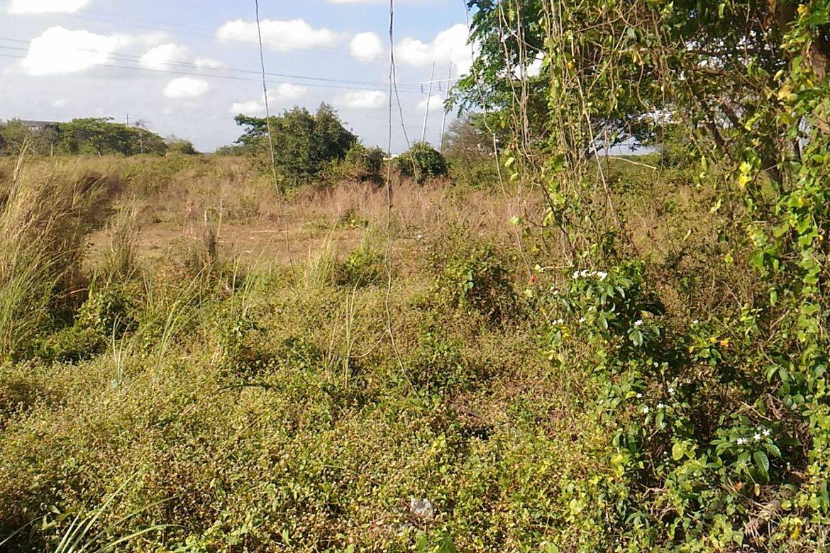 Land for Sale in F. Simeon, Ragay, Camarines Sur