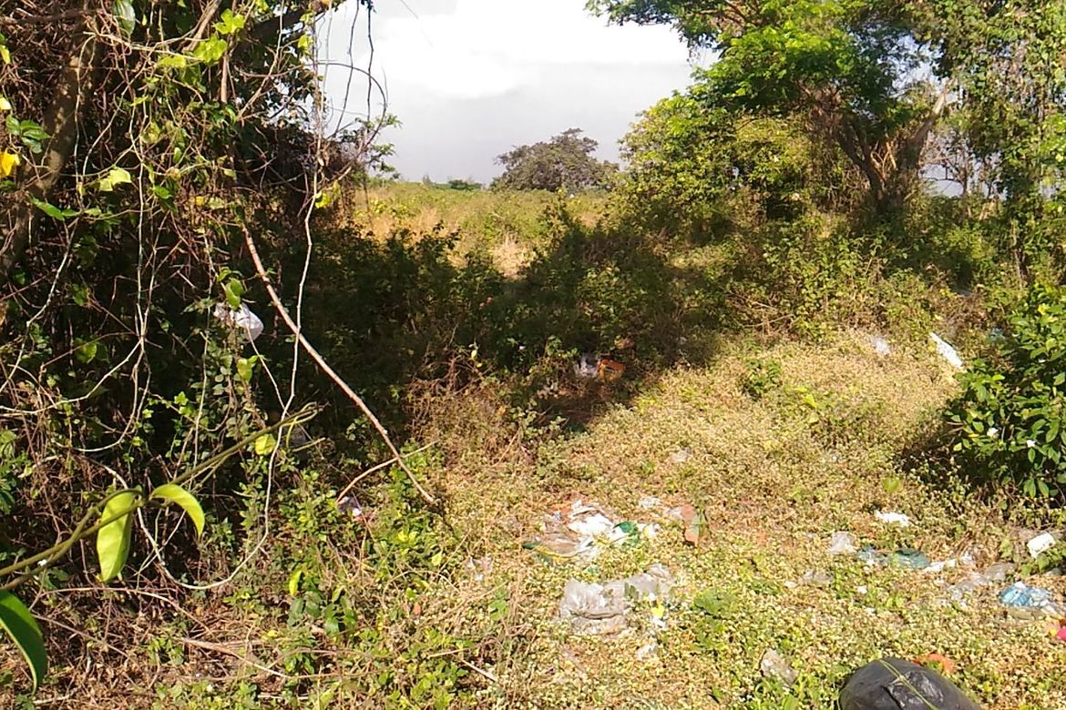 Land for Sale in F. Simeon, Ragay, Camarines Sur – photo 2