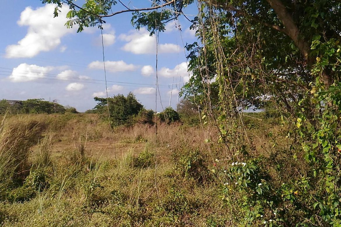 Land for Sale in F. Simeon, Ragay, Camarines Sur – photo 3
