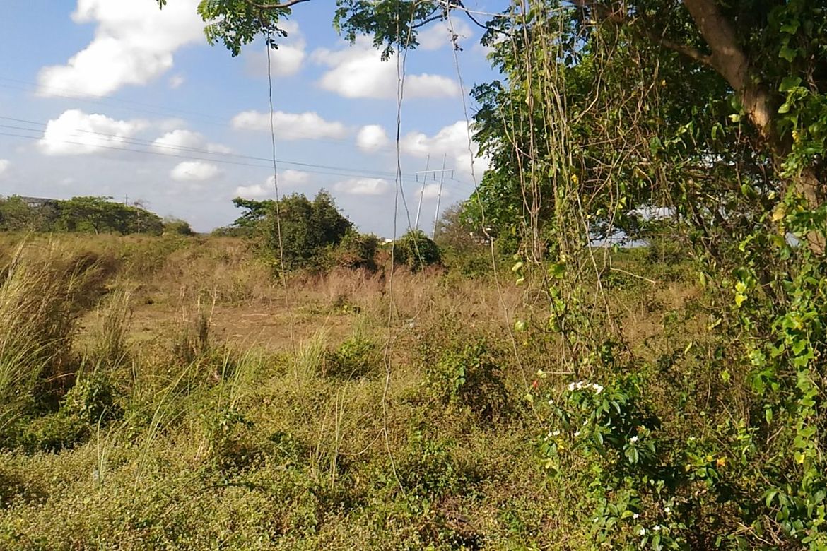 Land for Sale in F. Simeon, Ragay, Camarines Sur – photo 4