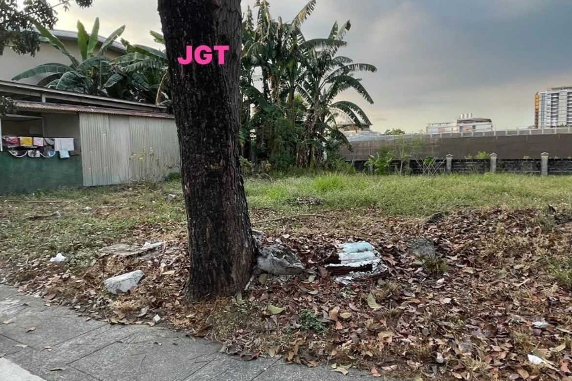 Land for Sale in Fairview, Quezon City, Metro Manila – photo 3
