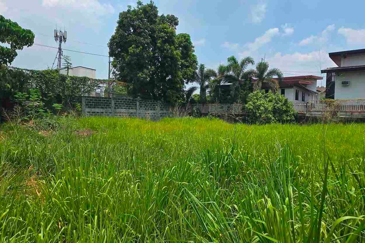 Land for Sale in Fairview, Quezon City, Metro Manila