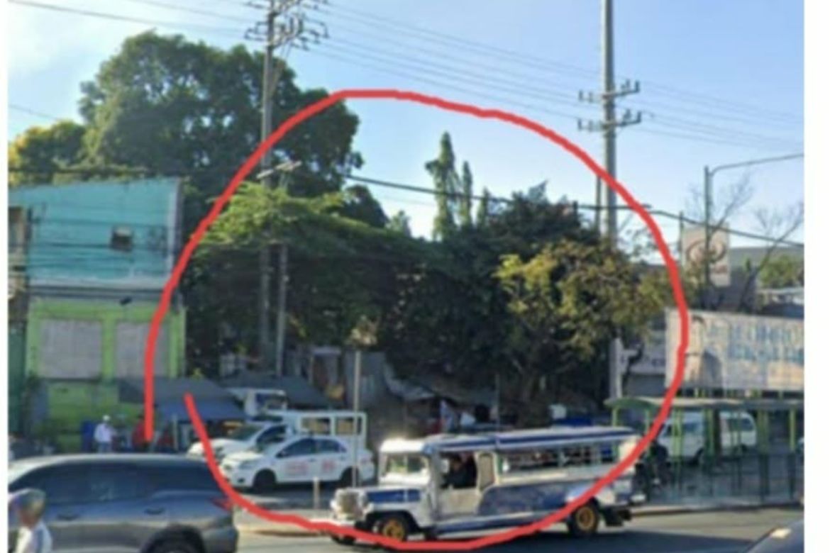 Land for Sale in Fairview, Quezon City, Metro Manila