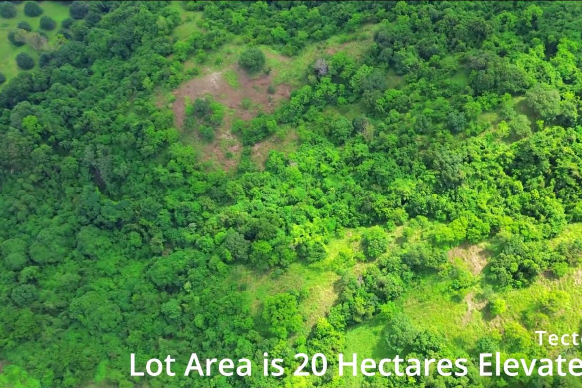 Land for Sale in Farañal, San Felipe, Zambales – photo 3
