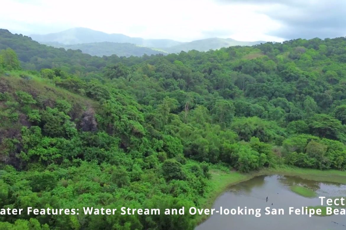 Land for Sale in Farañal, San Felipe, Zambales – photo 7