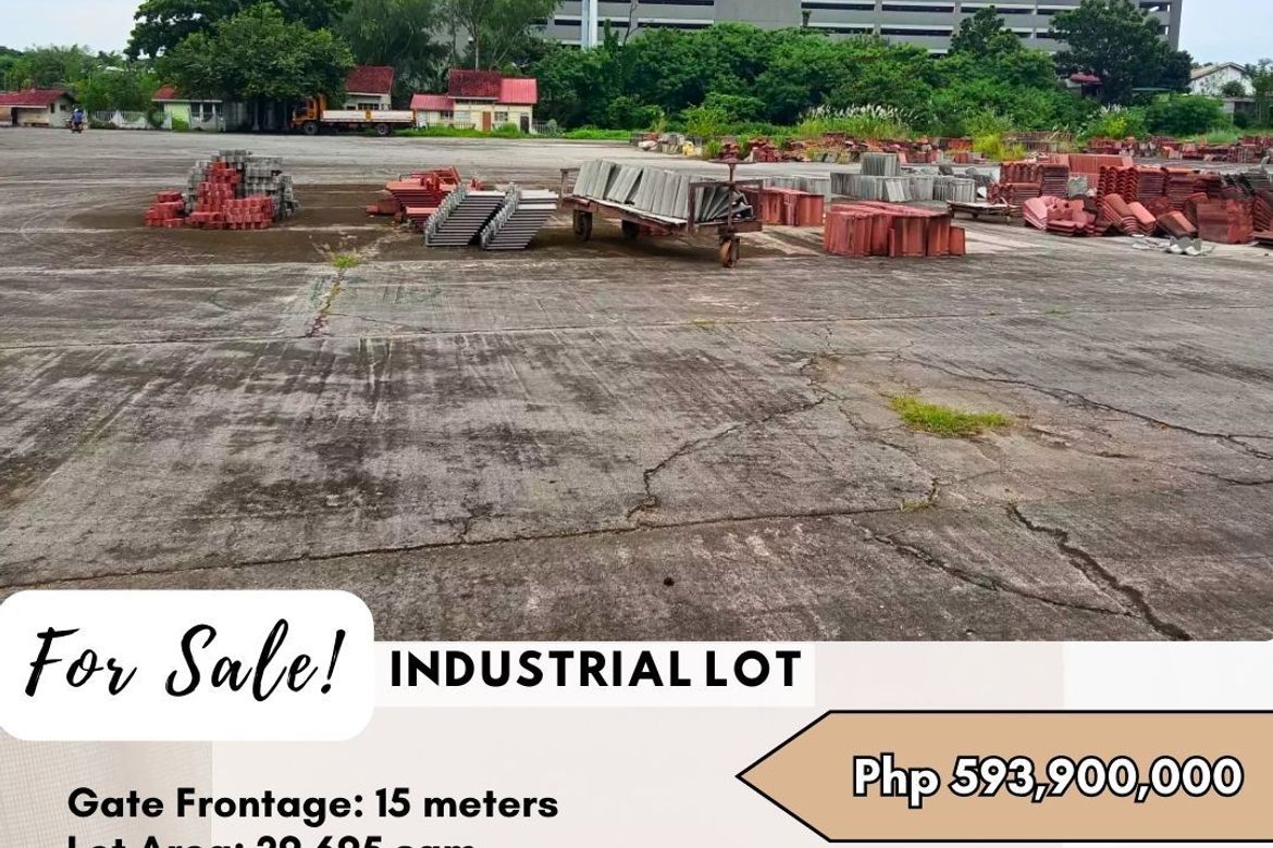 Land for Sale in Fatima, San Pedro, Laguna