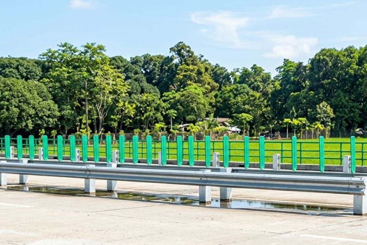 Land for Sale in Ferdinand E. Marcos Poblacion, San Jose, Nueva Ecija – photo 3