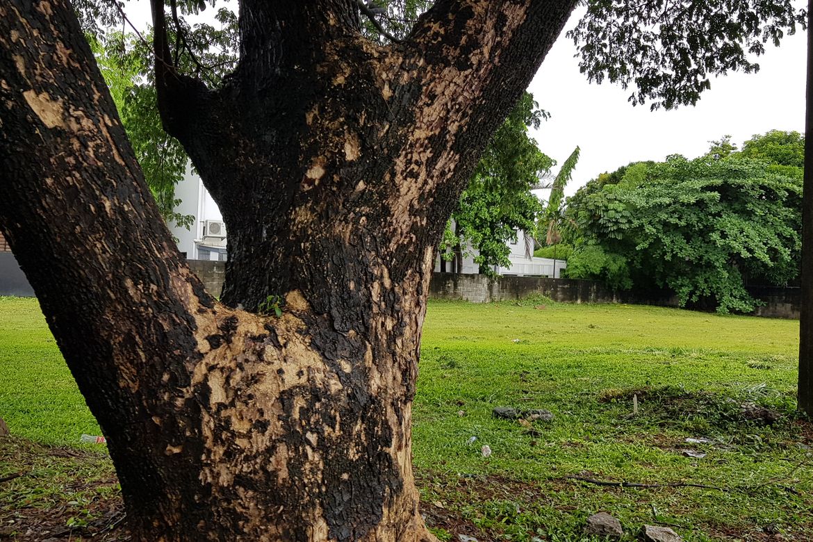 Land for Sale in Forbes Park North, Makati, Metro Manila – photo 5