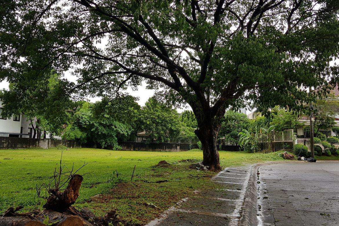 Land for Sale in Forbes Park North, Makati, Metro Manila – photo 6