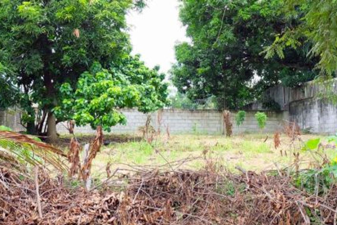 Land for Sale in Forbes Park North, Makati, Metro Manila