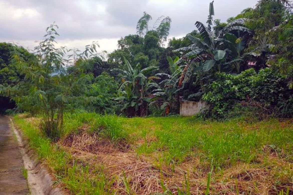 Land for Sale in Forbes Park North, Makati, Metro Manila