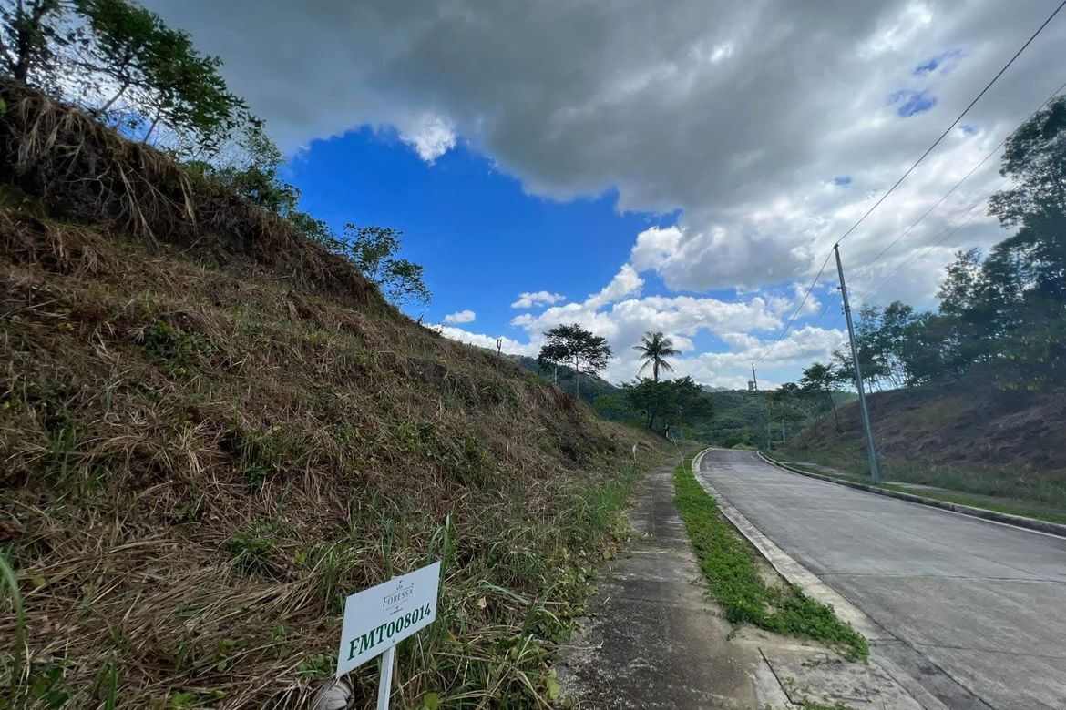 Land for Sale in Foressa Mountain Town, Cansomoroy, Balamban, Cebu
