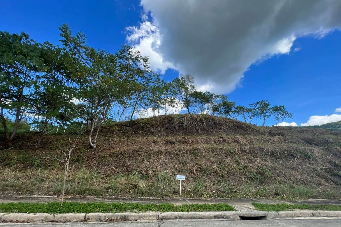 Land for Sale in Foressa Mountain Town, Cansomoroy, Balamban, Cebu – photo 2