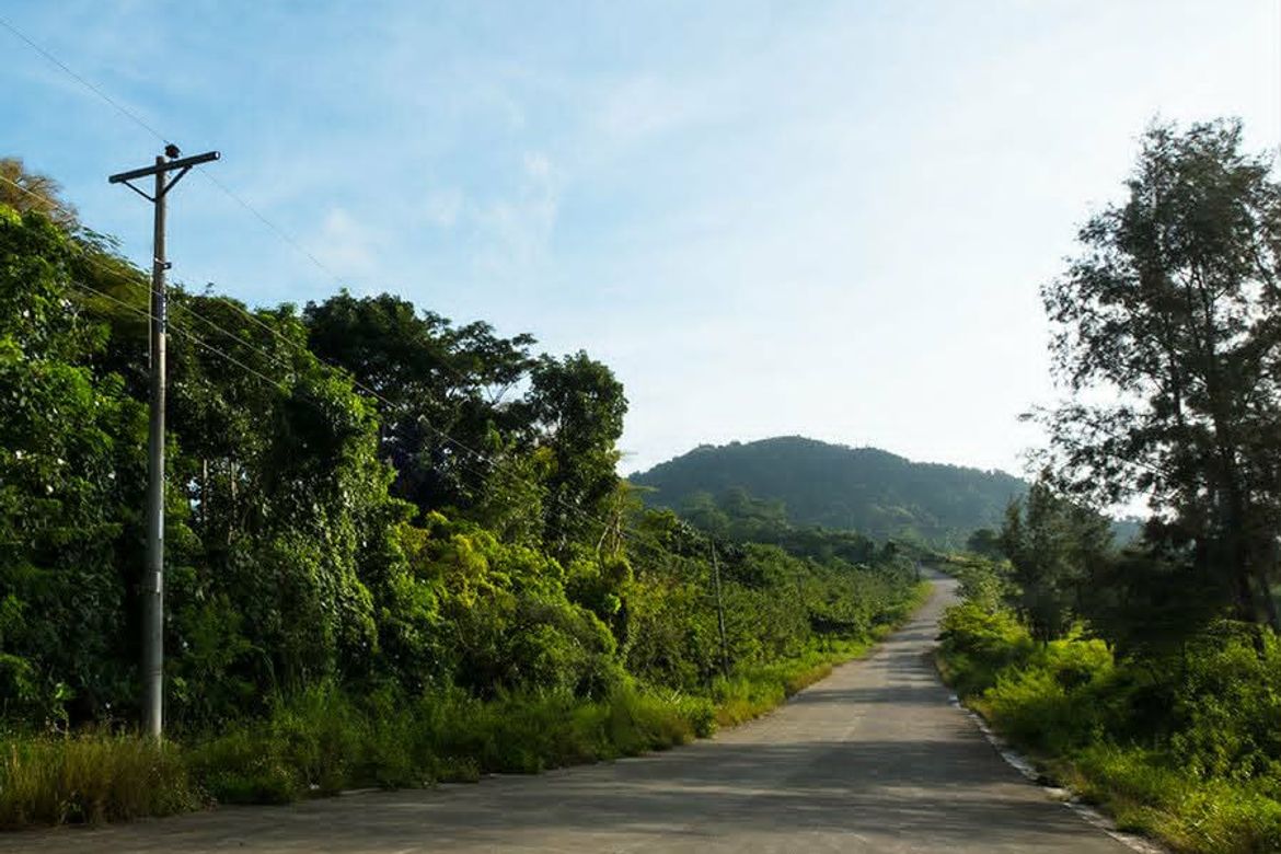 Land for Sale in Foressa Mountain Town, Cansomoroy, Balamban, Cebu – photo 5