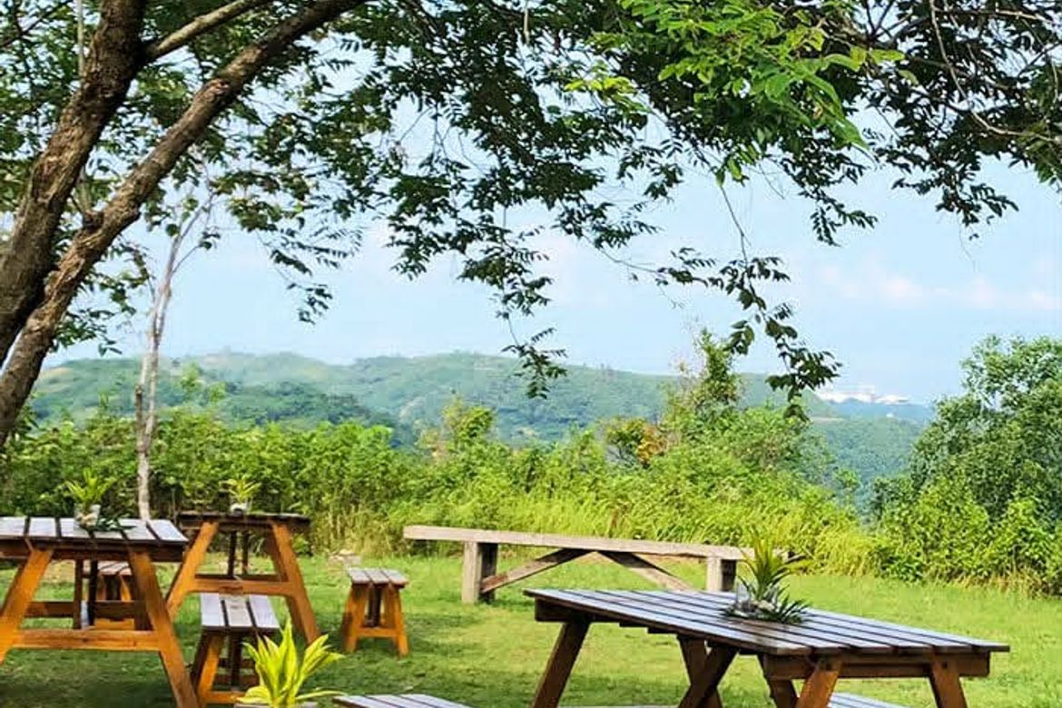 Land for Sale in Foressa Mountain Town, Cansomoroy, Balamban, Cebu – photo 8