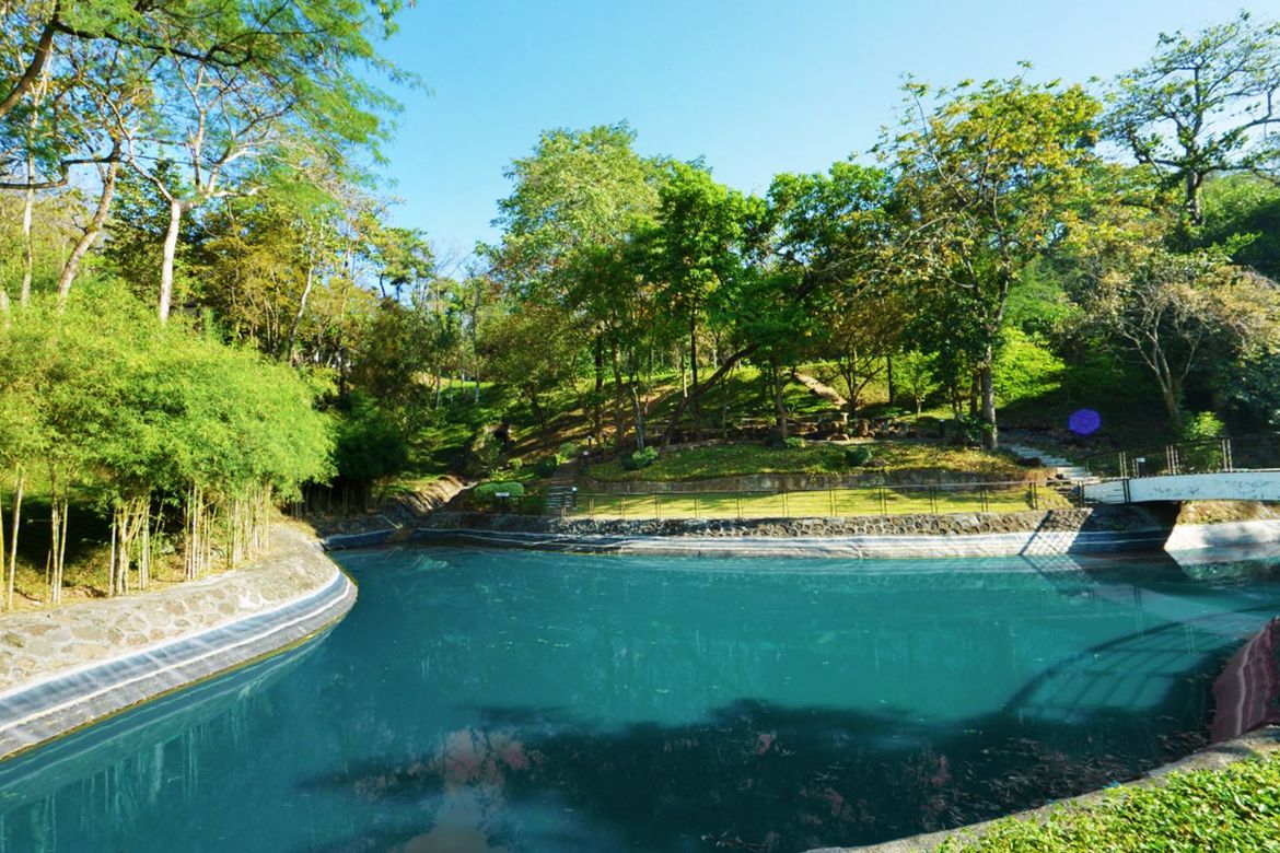 Land for Sale in Forest Farms, Mahabang Parang, Angono, Rizal – photo 2