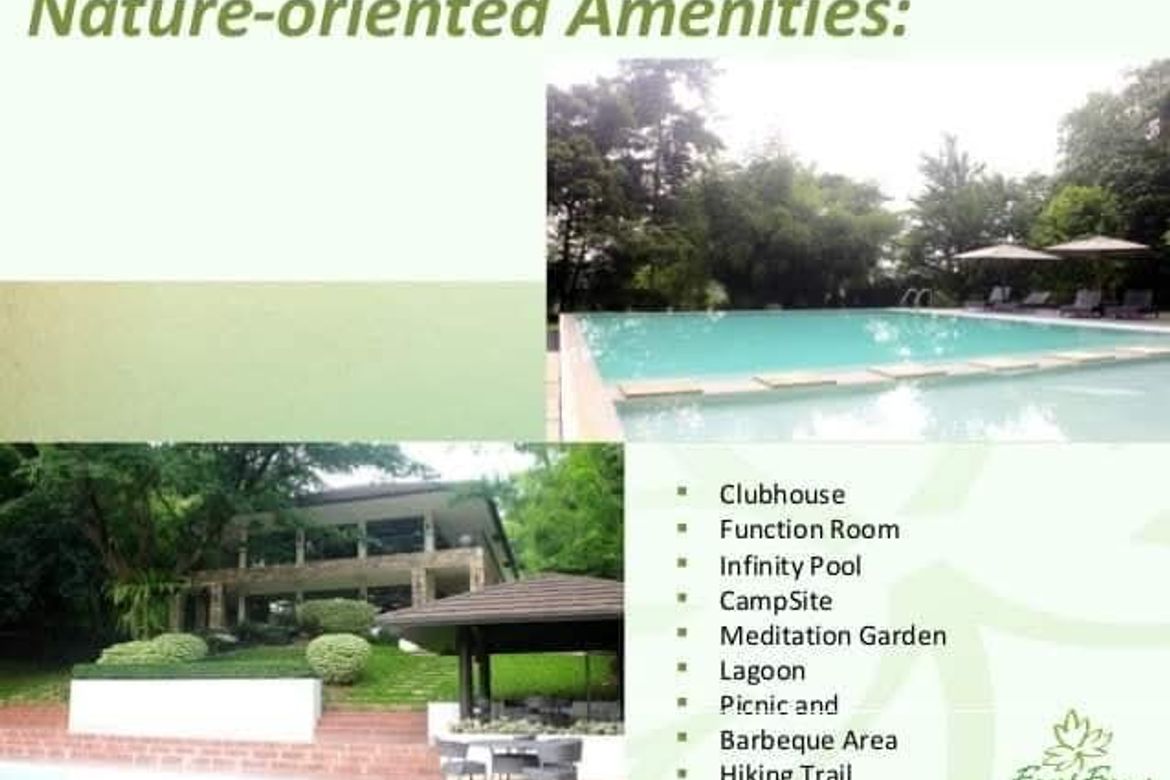 Land for Sale in Forest Farms, Mahabang Parang, Angono, Rizal – photo 3
