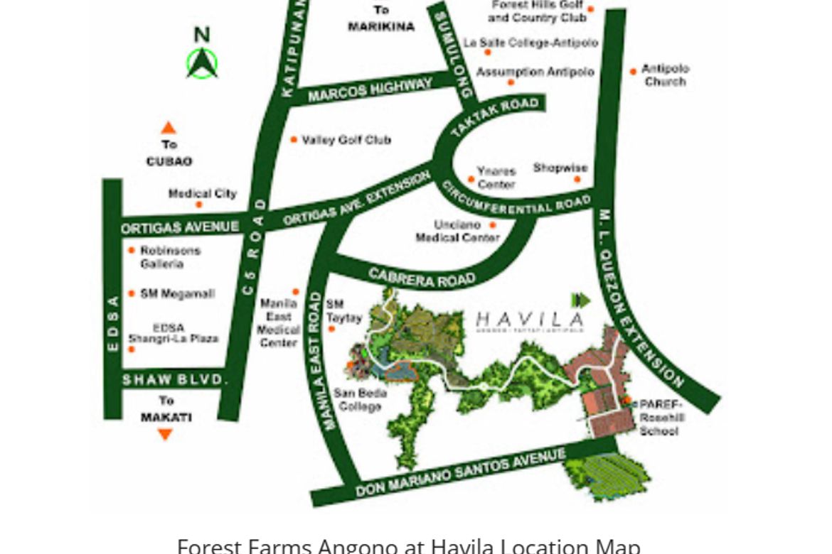 Land for Sale in Forest Farms, Mahabang Parang, Angono, Rizal – photo 7