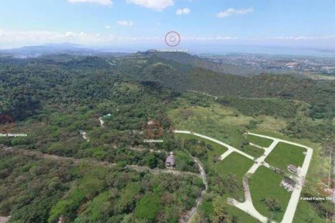 Land for Sale in Forest Farms, Mahabang Parang, Angono, Rizal – photo 8